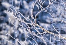 Danas umjereno oblačno uz sunčane periode