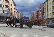 Badnjaci i zastave krase ulice