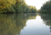 Udruženja iz BiH uz Savez ekoloških organizacija Srbije o pitanju „Rio Tinta“