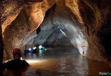 U Srpskoj 31 zaštićeno područje