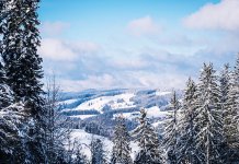 Sutra slab snijeg na istoku