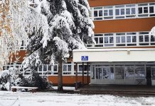 Mihajlović: Nastavnici i učenici najistaknutiji predstavnici svetosavlja