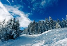 Najhladnije jutro u januaru