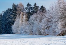 Sutra suvo sa sunčanim intervalima, temperatura do 10 stepeni