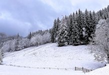 Narednih dana promjenljivo do pretežno oblačno