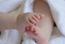 Рођено седам беба