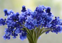 Srećan 8. mart – Međunarodni dan žena!