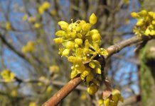 I danas sunčano i toplo