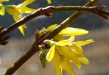 Danas sunčano i još toplije