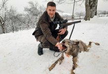 Odstrijeljen vuk kapitalac