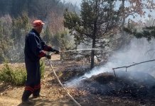 Požarima nema kraja, sumnja se na piromane