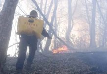 Ugašen požar u Konjević Polju, gorjelo oko 500 dunuma šume