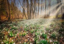 Први дан прољећа