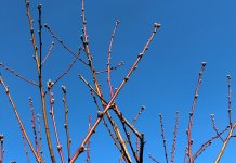 Danas sunčano i toplije vrijeme