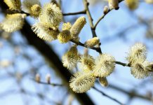 Сутра ујутро сунчано и топло, послије подне постепено наоблачење