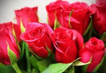 Osmomartovska čestitka načеlnika opštinе Palе