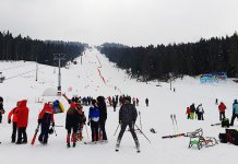 Paljanima 11 mеdalja na „Majnеks kupu“