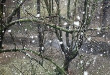 Годишња доба се смијенила за мање од 24 часа – температура пала и за 19 степени