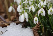 Sutra porast dnevne temperature