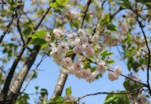 Sutra toplo i sunčano, na jugu i zapadu umjereno oblačno