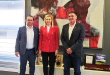 Ćosić: Film „Jeni, malo svjetlo sa zapada“ mora ući u srpski narod