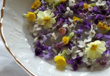 Сутра празник Цвијети