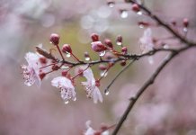 У сриједу нестабилно, максимална температура до 28 степени