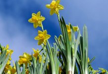 Danas sunčano i toplije, temperatura do 26 stepeni