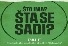 Trebević bogatiji za 800 sadnica