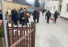 Podijeljeno 390 sadnih paketa za proljećnu sjetvu