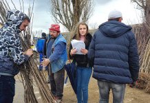 Podijeljene sadnice poljoprivrednim proizvođačima