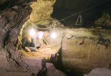 Kod Niša otkriveni najstariji ostaci neandertalca u Istočnoj Evropi