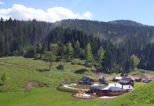 Sutra do 31 stepen Celzijusov