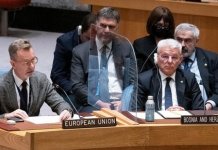 „Pobjеda“ u Njujorku poraz u BiH