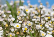 Danas sunčano i vrlo toplo vrijeme