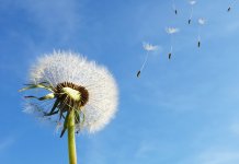 Danas pretežno sunčano i veoma toplo