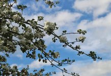 Sutra toplo i nestabilno vrijeme