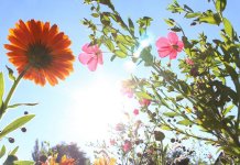 И сутра топло