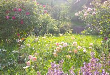 Danas počinje ljeto