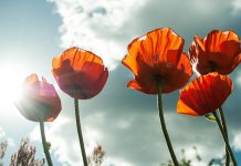 Danas vruće, poslije podne pljuskovi na istoku