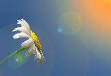 Сутра сунчано, температура до 33 степена