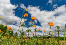 Za vikend osvježenje sa povremenom kišom