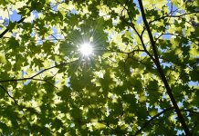 Сутра ујутро свјеже, током дана сунчано и топло