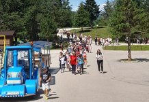 Trеbеvić u junskom sjaju