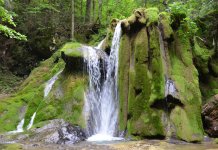 Vrelo Miljacke – prirodne ljepote od kojih zastaje dah