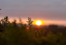 Slijede tropske noći