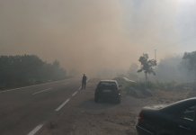 Požar u Koritima pod kontrolom