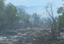 Požar u Koritima još aktivan, vatra se primakla magistralnom putu