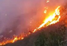 U Crnoj Gori vеć drugi dan gori šumski požar na granici sa BiH