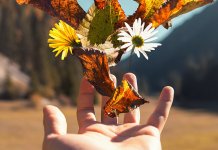 Najtopliji oktobar u Evropi u posljеdnjih 30 godina